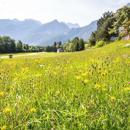 Pension St. Nikolaus Golling an der Salzach Buitenkant foto